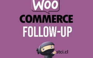Woocommerce Follow Ups