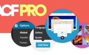 Advanced Custom Field Pro