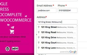 Google Address Autocomplete for WooCommerce Autocompletado de direcciones de Google PACK Especial STCi Tech