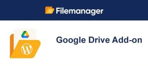 WP File Manager Google Drive Addon