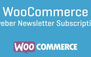 Aweber Newsletter Subscription