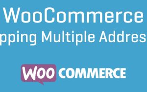 WooCommerce Shipping Multiple Addresses